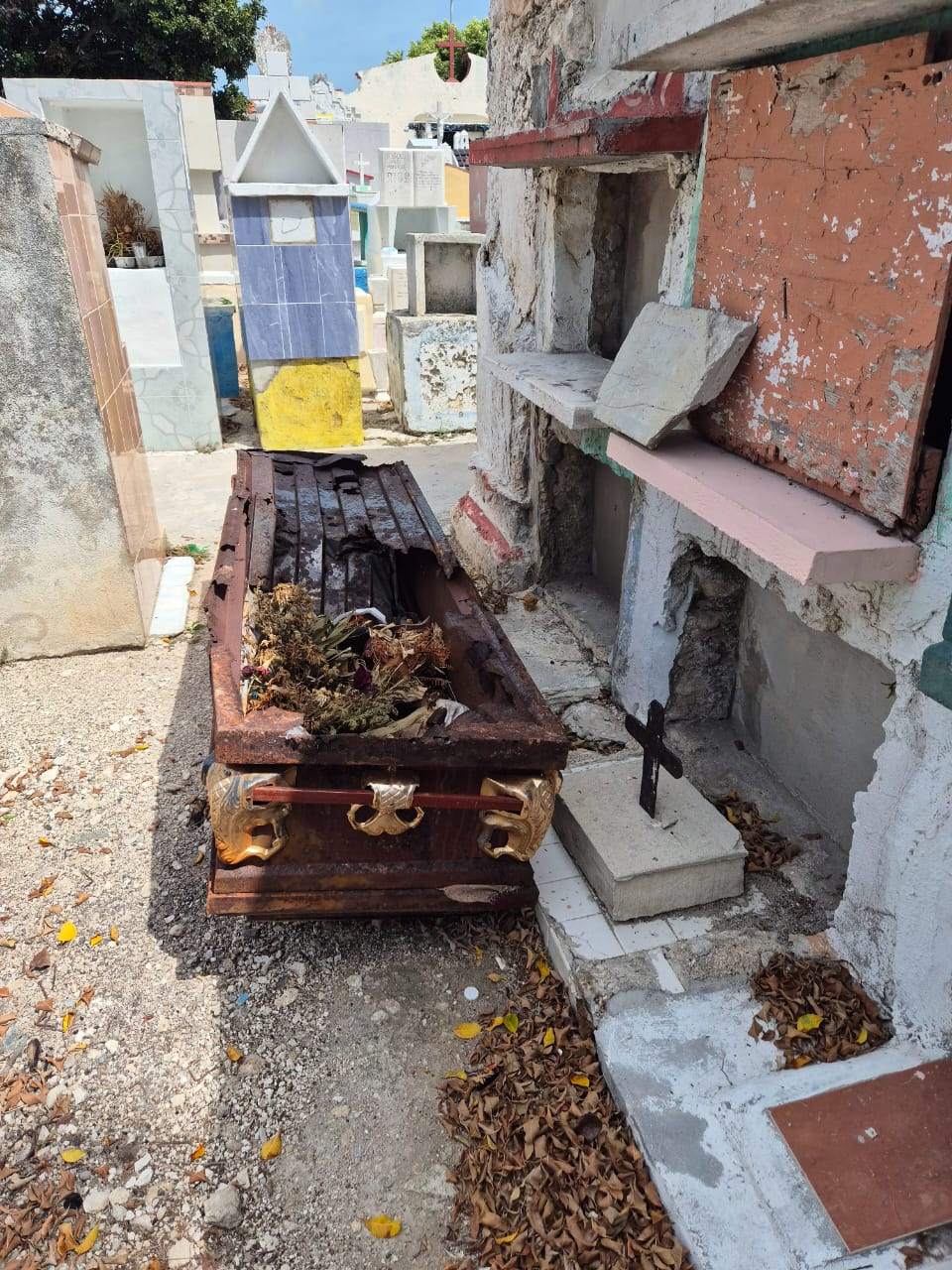 Vecinos lo consideran una falta de respeto y un riesgo sanitario. Vecinos lo consideran una falta de respeto y un riesgo sanitario.