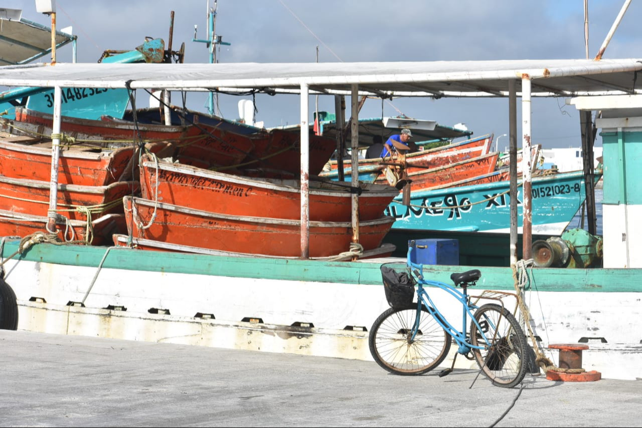 Pescadores mantienen una captura estable de escama y precios favorables del producto en el mercado