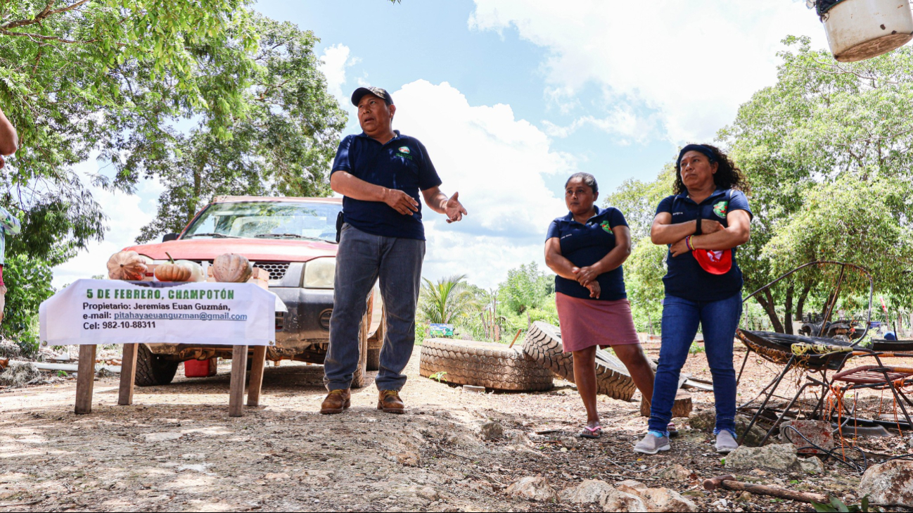 SEMARNAT lo valora como modelo para restauración ecológica dentro del Corredor Biológico Balam Beh. SEMARNAT lo valora como modelo para restauración ecológica dentro del Corredor Biológico Balam Beh.