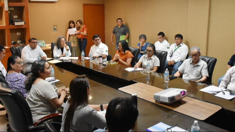 Detectan manchones de algas tóxicas en la costa de Yucatán; Gobierno del Estado intensifica su monitoreo