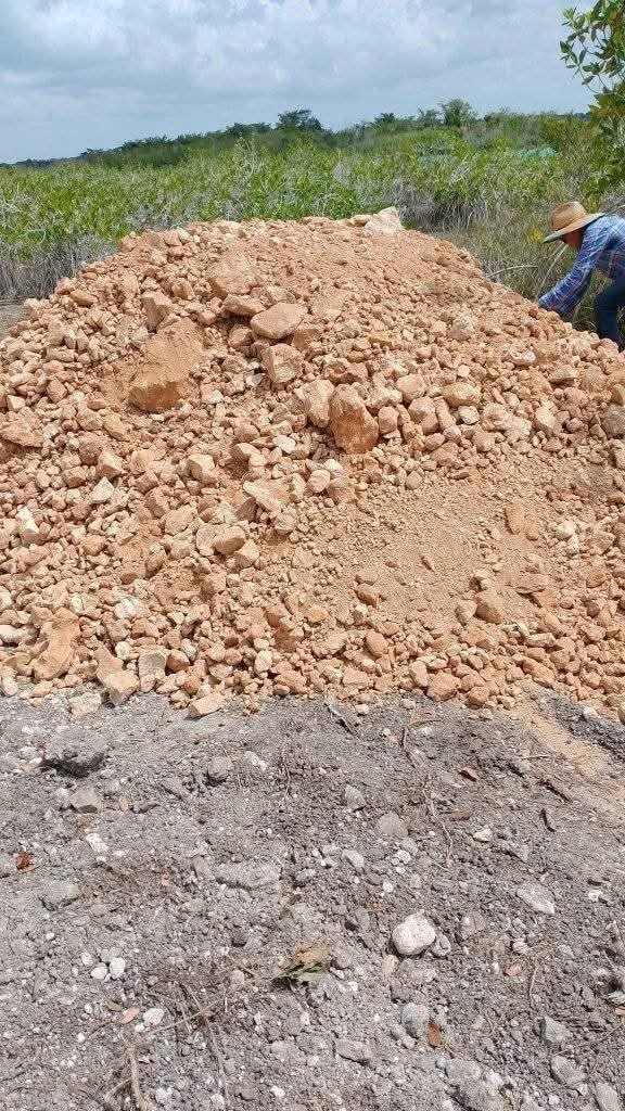 La intervención en este corredor natural podría disminuir o incluso bloquear el flujo de agua La intervención en este corredor natural podría disminuir o incluso bloquear el flujo de agua