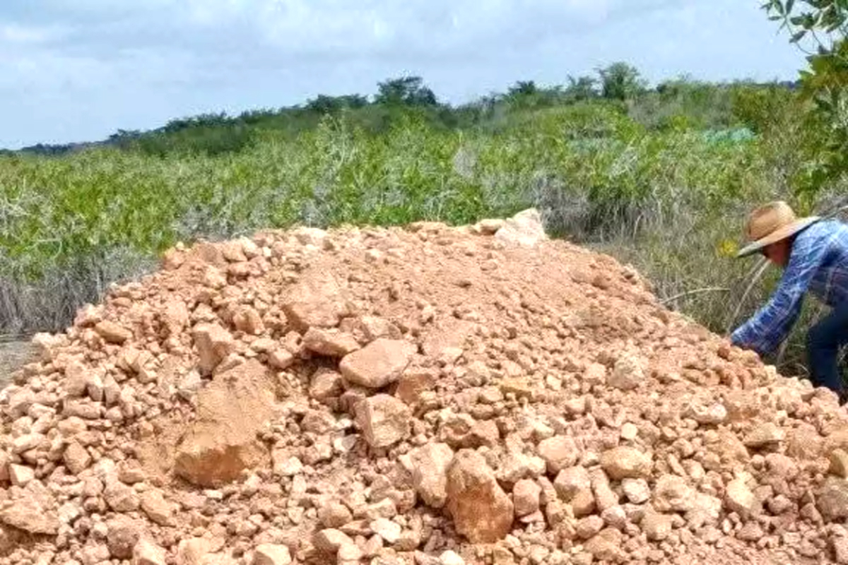 Denuncian relleno ilegal en el Estero de Chac, sin permisos ambientales. Denuncian relleno ilegal en el Estero de Chac, sin permisos ambientales.