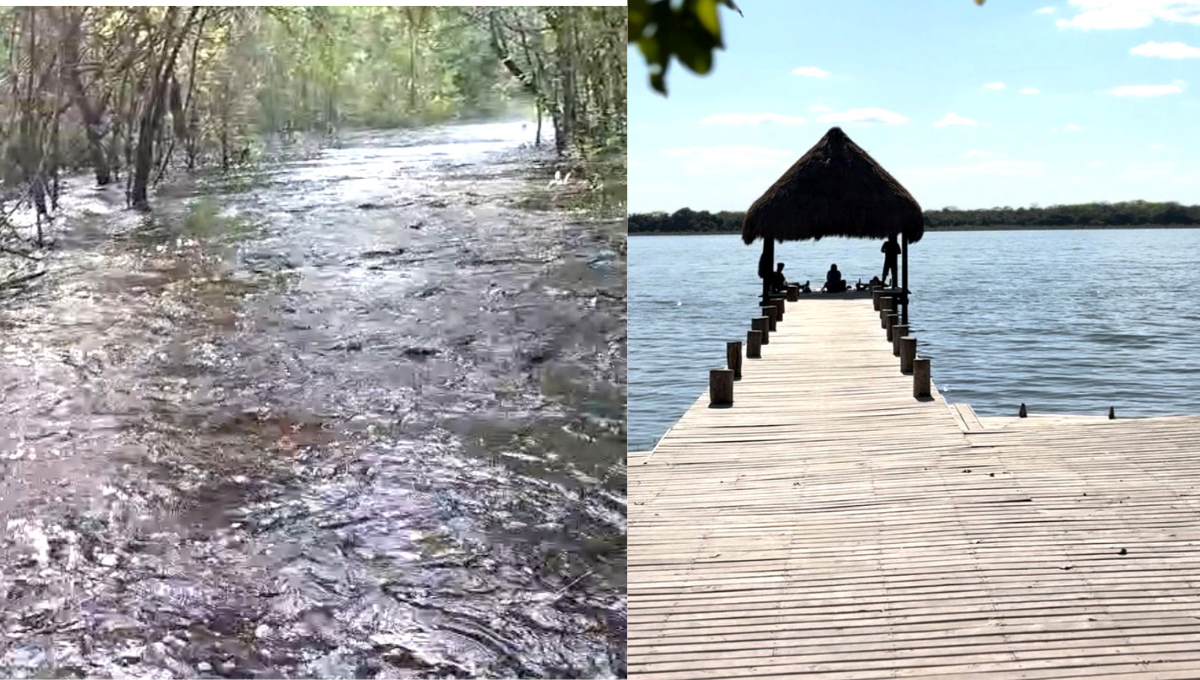 Escurrimientos de agua desde Bacalar inundan caminos en la selva de Noh-Bec, Q. Roo. Escurrimientos de agua desde Bacalar inundan caminos en la selva de Noh-Bec, Q. Roo.