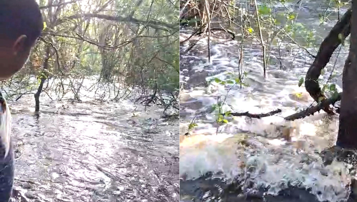 La zona afectada es conocida como “Remate”, en el poniente del ejido. La zona afectada es conocida como “Remate”, en el poniente del ejido.