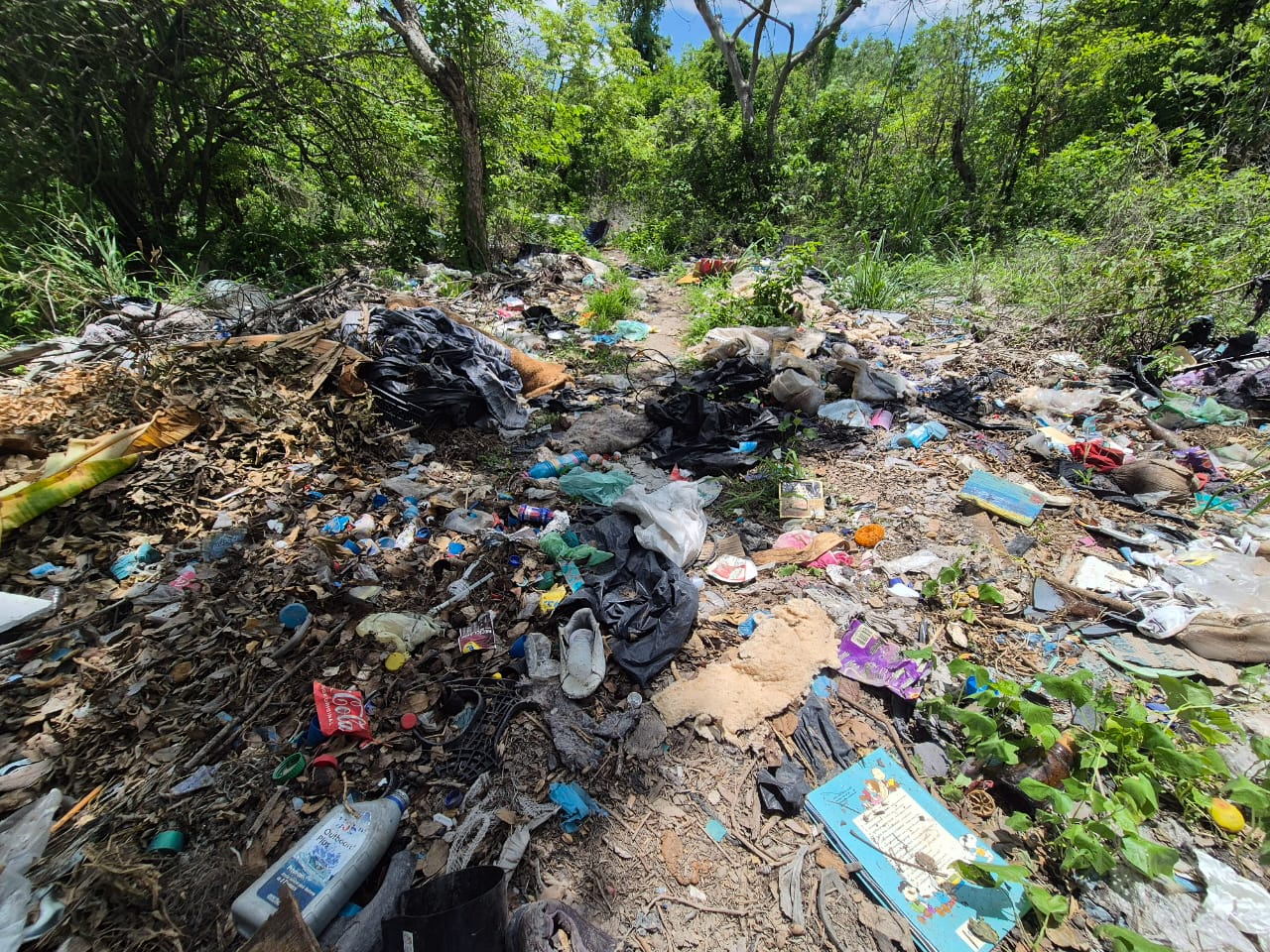 Vecinos denuncian predio repleto de basura y animales muertos en Champotón