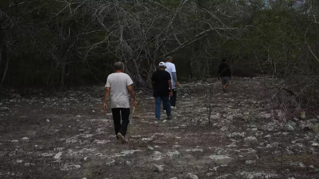 En lo que va del año la Profepa ha iniciado casi 200 expedientes por daños al medio ambiente En lo que va del año la Profepa ha iniciado casi 200 expedientes por daños al medio ambiente