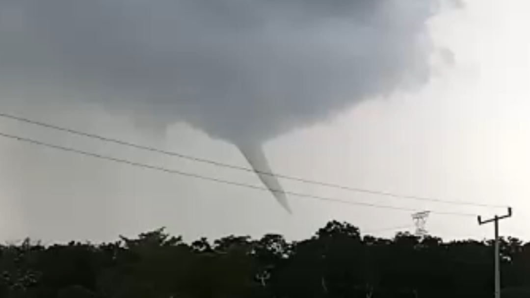 Remolino de viento derriba árboles en Champotón