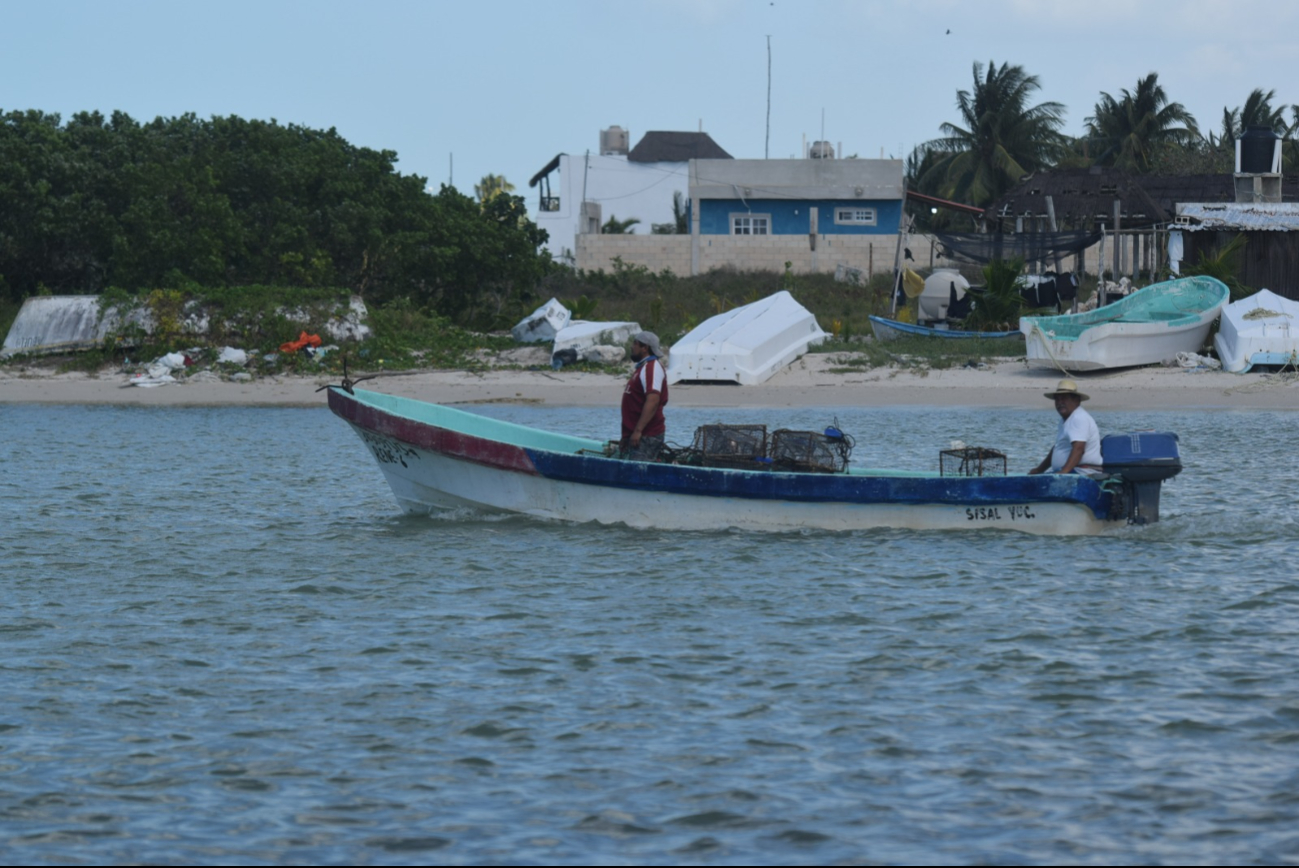 Aunque por ahora no hay riesgo inminente, especialistas y pescadores están atentos a la marea roja