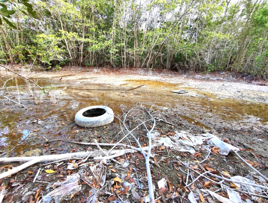 La falta de infraestructura y vigilancia arriesga diversos ecosistemas La falta de infraestructura y vigilancia arriesga diversos ecosistemas
