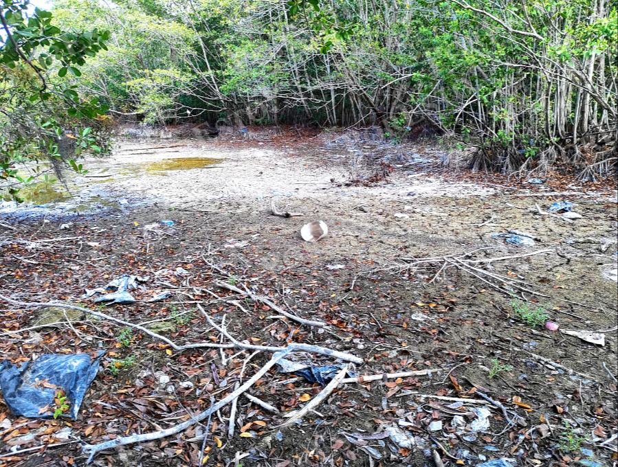 La naturaleza puede adaptarse a entornos hostiles, pero no a la destrucción actual. La naturaleza puede adaptarse a entornos hostiles, pero no a la destrucción actual.