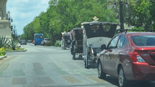 Cuatro calesas fueron documentas circulando sobre Paseo de Montejo antes del horario permitido