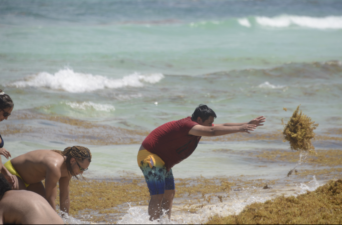 En Quintana Roo hay más de nueve kilómetros de barreras flotantes en zonas costeras En Quintana Roo hay más de nueve kilómetros de barreras flotantes en zonas costeras