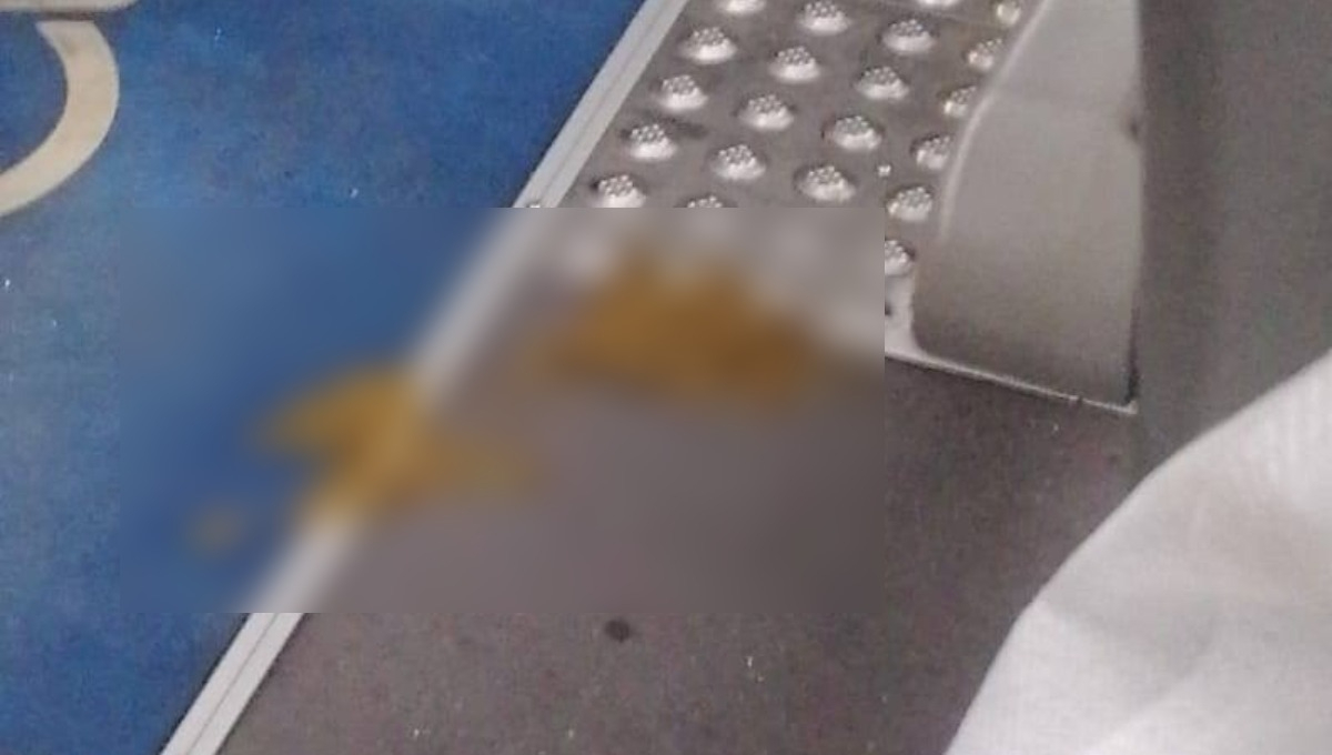La evidencia fue captada en el pasillo del transporte La evidencia fue captada en el pasillo del transporte
