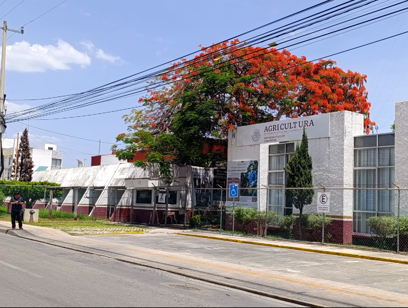 No es la primera vez que esta casa editorial intenta contactar a Conapesca para una entrevista