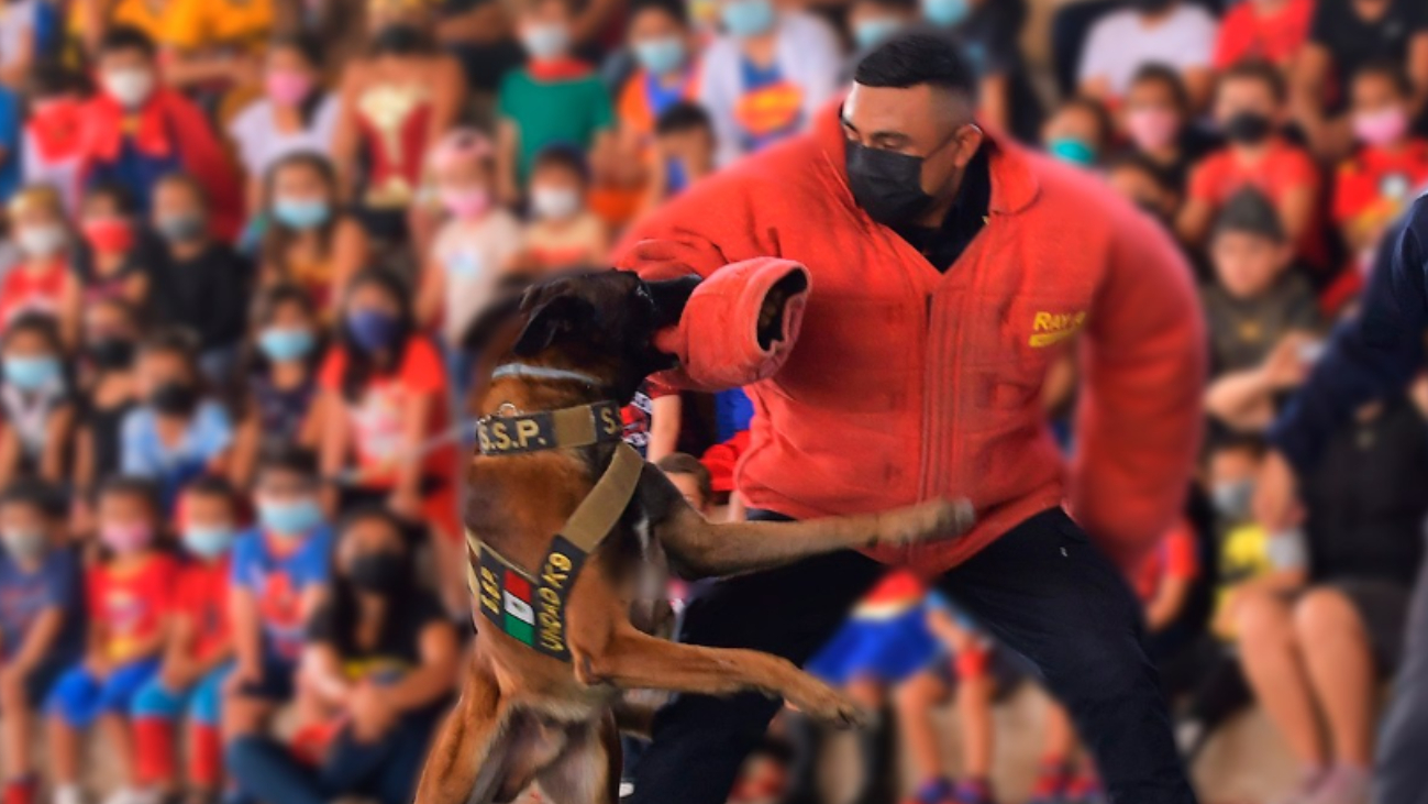 Baggio, al igual que otros elementos de la unidad K9 fueron donados por la Embajada de los Estados Unidos