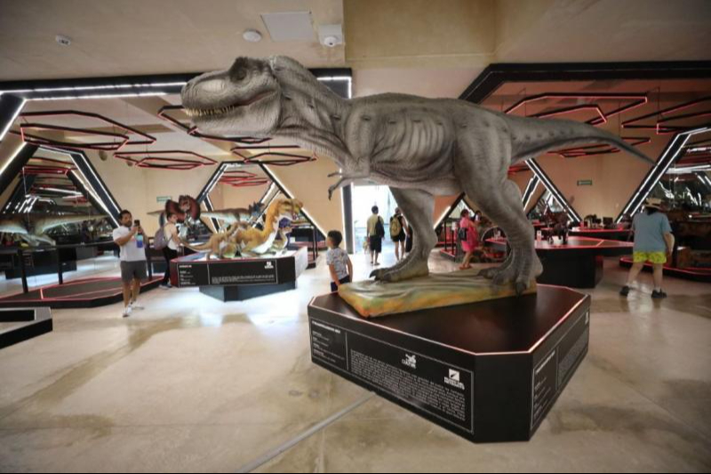 Museo del Meteorito celebra tercer aniversario con actividades para toda la familia