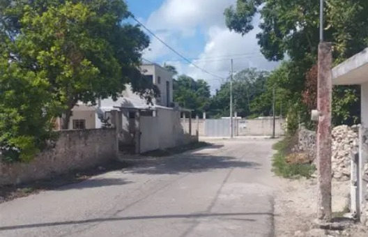 Rescatan a un perro con las vísceras expuestas tras brutal ataque en Santa Rosa de Lima Rescatan a un perro con las vísceras expuestas tras brutal ataque en Santa Rosa de Lima