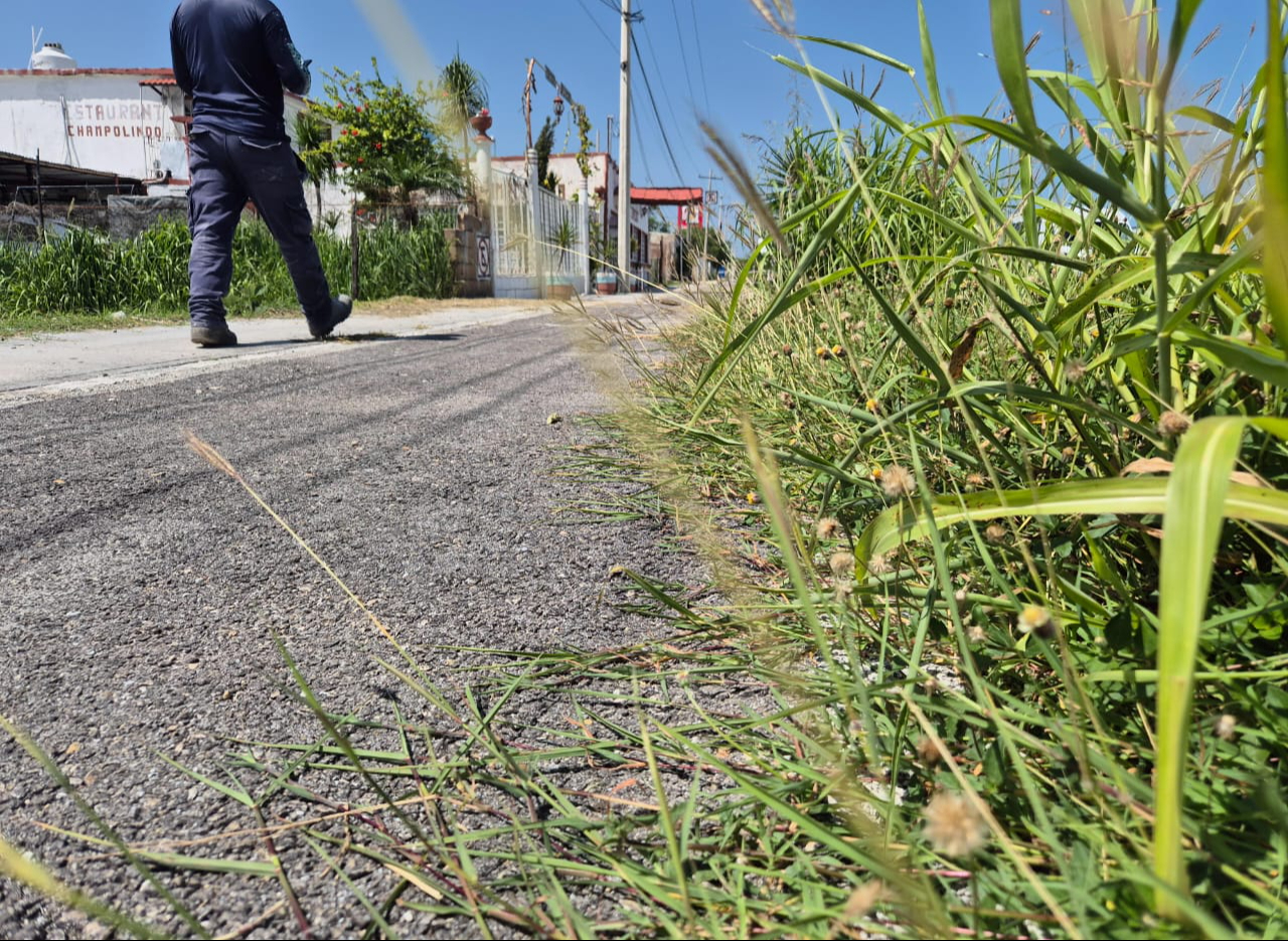 Ciclovía de Champotón, entre maleza y abandono