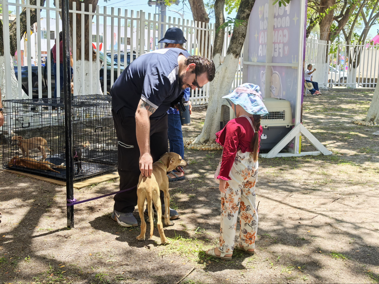 Se espera que estos animales rescatados encuentren un hogar lleno de amor. Se espera que estos animales rescatados encuentren un hogar lleno de amor.
