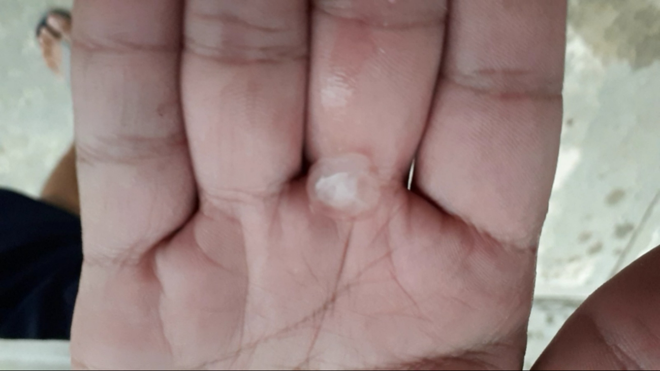 La última vez que se presentó granizo en la entidad fue hace dos años