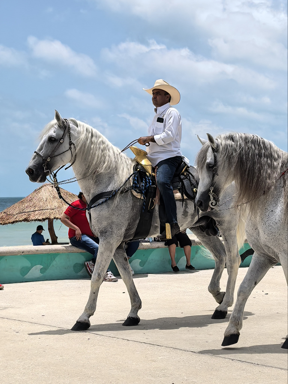Ejemplares de diferentes entidades participaron en la cabalgata.