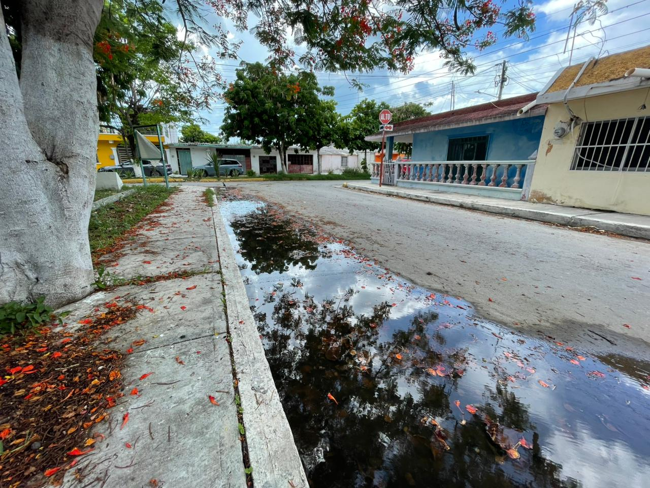 Vecinos de Champotón lanzan quejas por acumulación de agua en las calles