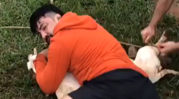 A través de un video en línea se mostró cómo el hombre logró repeler a los caninos A través de un video en línea se mostró cómo el hombre logró repeler a los caninos