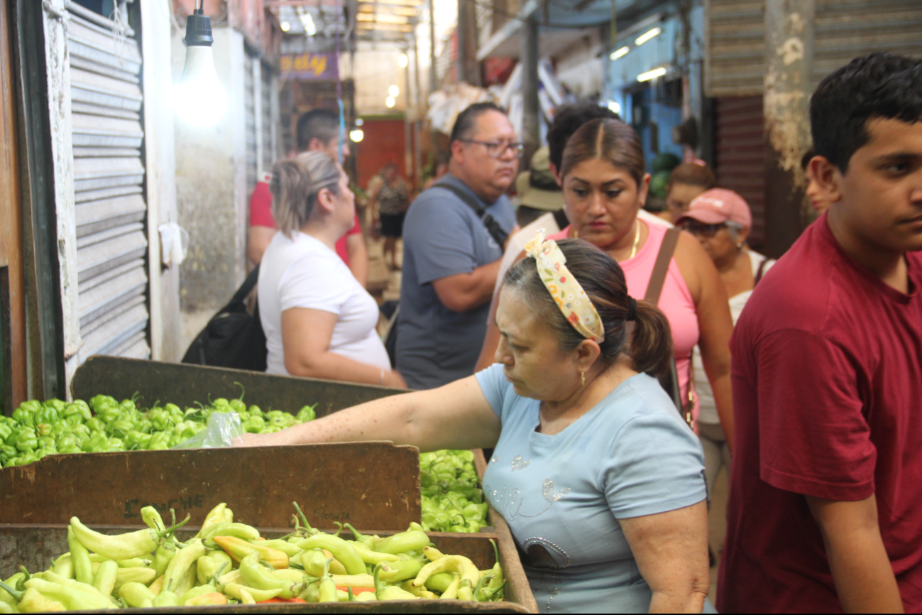 El CICY desarrolla especies modificadas del picante, hoy día tiene cuatro disponibles al público