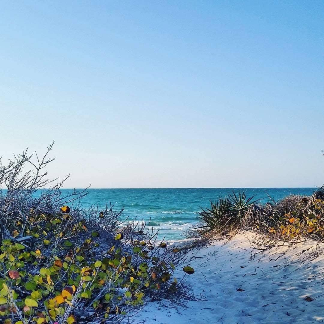 Cancunito es una de las playas menos populares de Yucatán