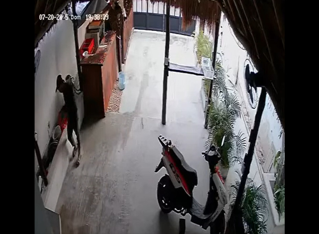 Cámaras de seguridad captan a sujeto robando en  un negocio en Tulum: VIDEO