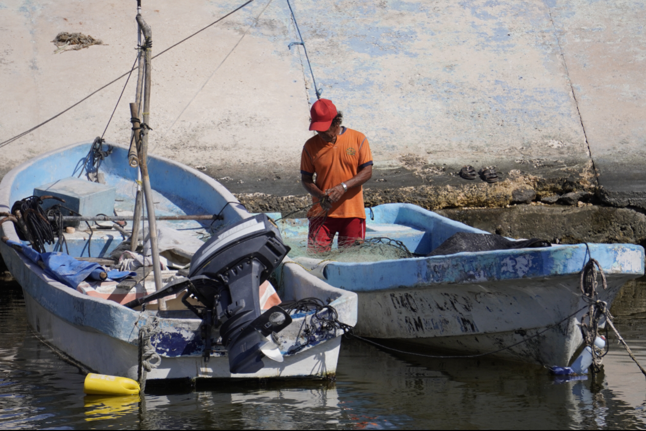 La propuesta es para prevenir, combatir y sancionar la depredación de especies marinas