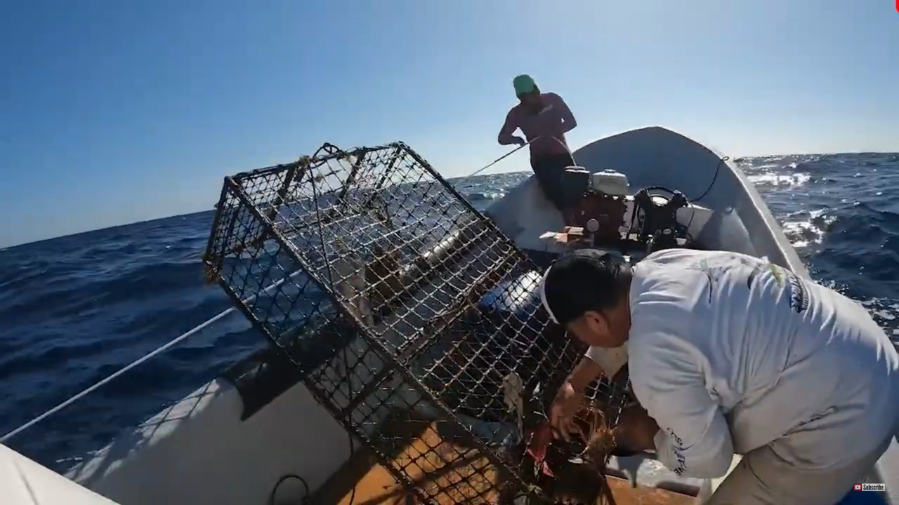 Se recomendó seguir las reglas de seguridad y tomar precacuciones Se recomendó seguir las reglas de seguridad y tomar precacuciones