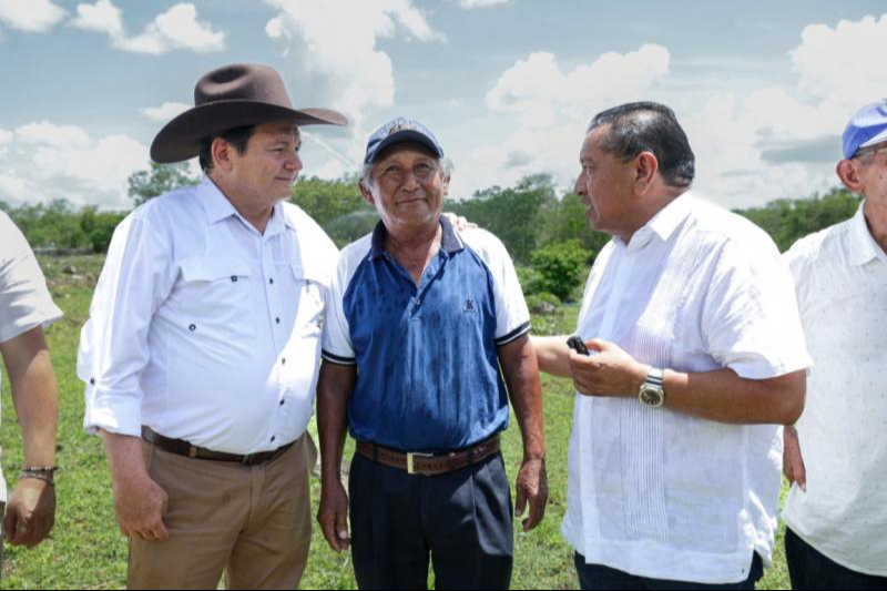 Sistemas de riego solar fortalecen producción agrícola en Motul