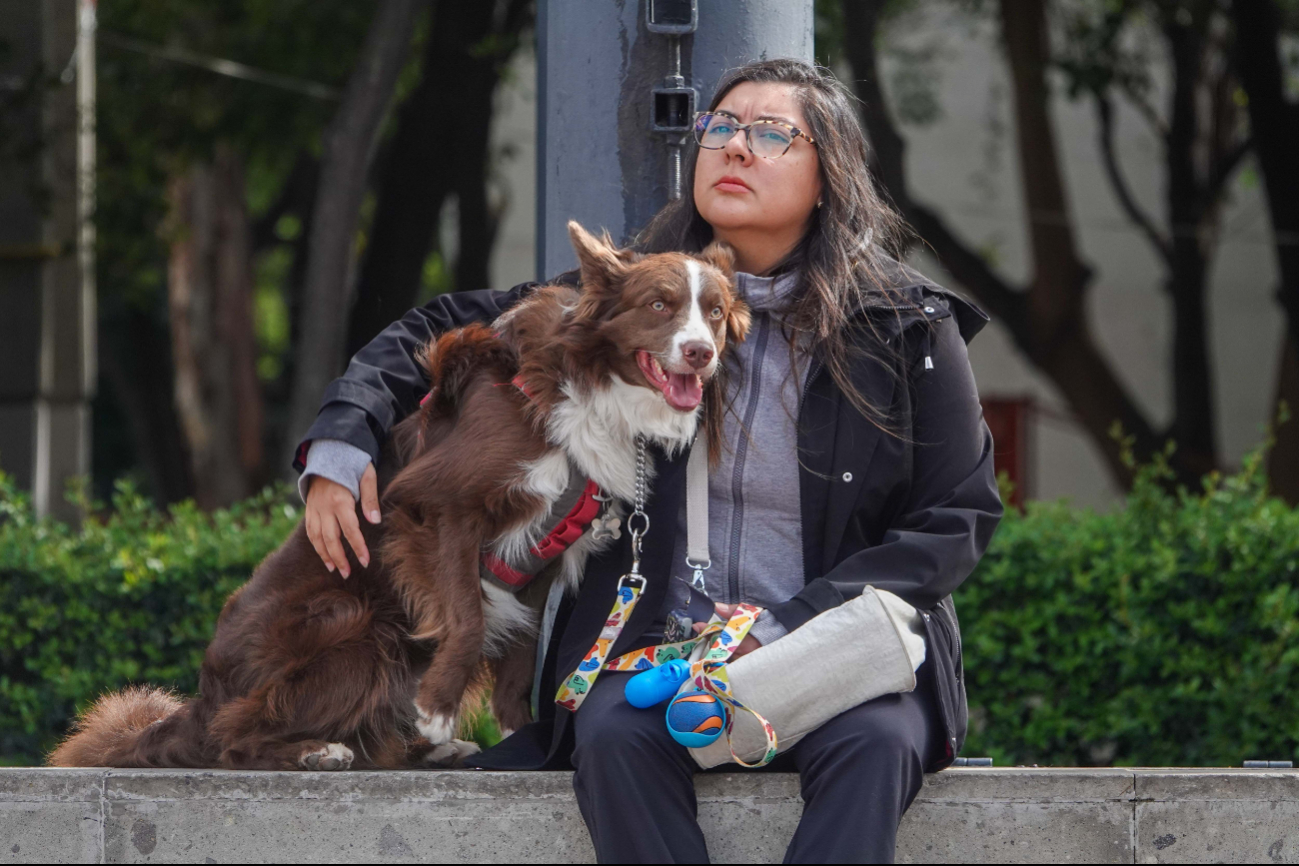 Mantente alerta, los montapeleas aprovechan la distracción y utilizan a tu perro para extorsionarte. Mantente alerta, los montapeleas aprovechan la distracción y utilizan a tu perro para extorsionarte.