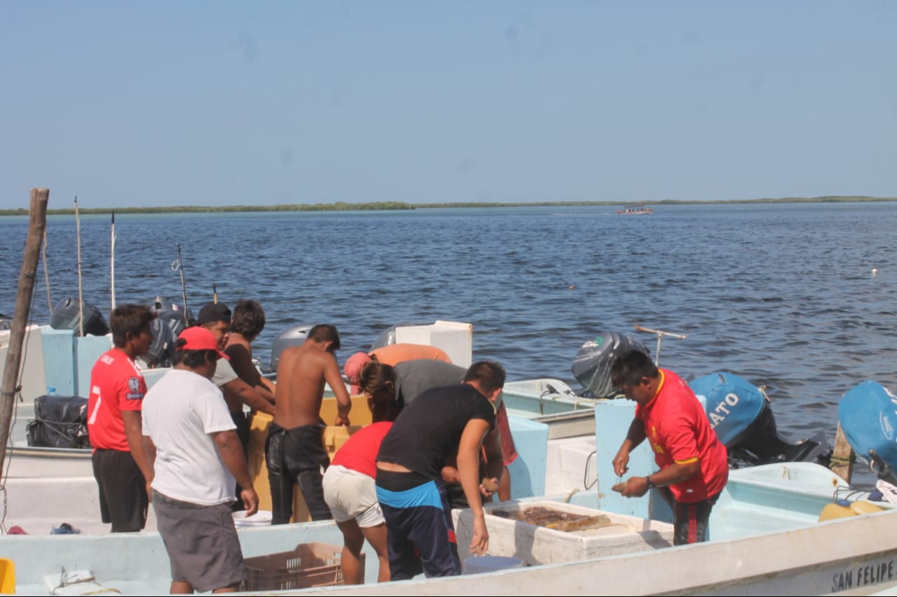 Empresarios pesqueros aseguran que en el 2012 hubo una alarmante disminución de especies