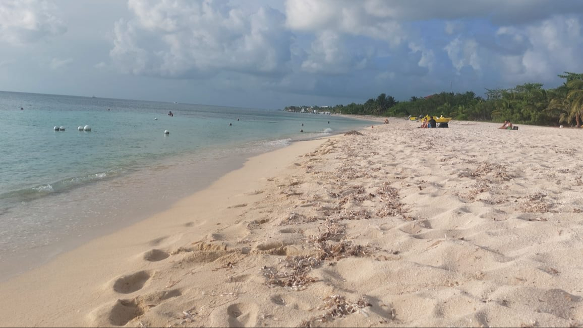 Se exhortó a la ciudadanía reportar cualquier tipo de anomalía en las aguas de las playas