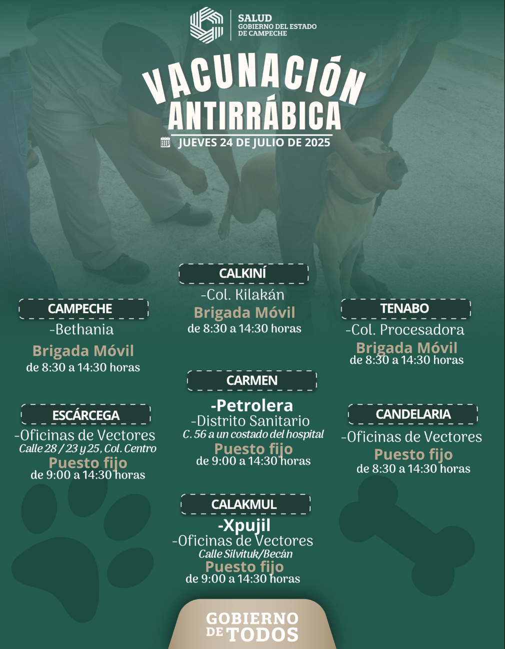 Vacunan gratis contra la rabia a perros y gatos en Campeche Vacunan gratis contra la rabia a perros y gatos en Campeche
