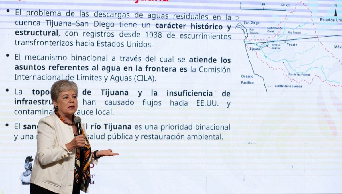 Alicia Bárcena Ibarra, secretaria de Medio Ambiente y Recursos Naturales Alicia Bárcena Ibarra, secretaria de Medio Ambiente y Recursos Naturales