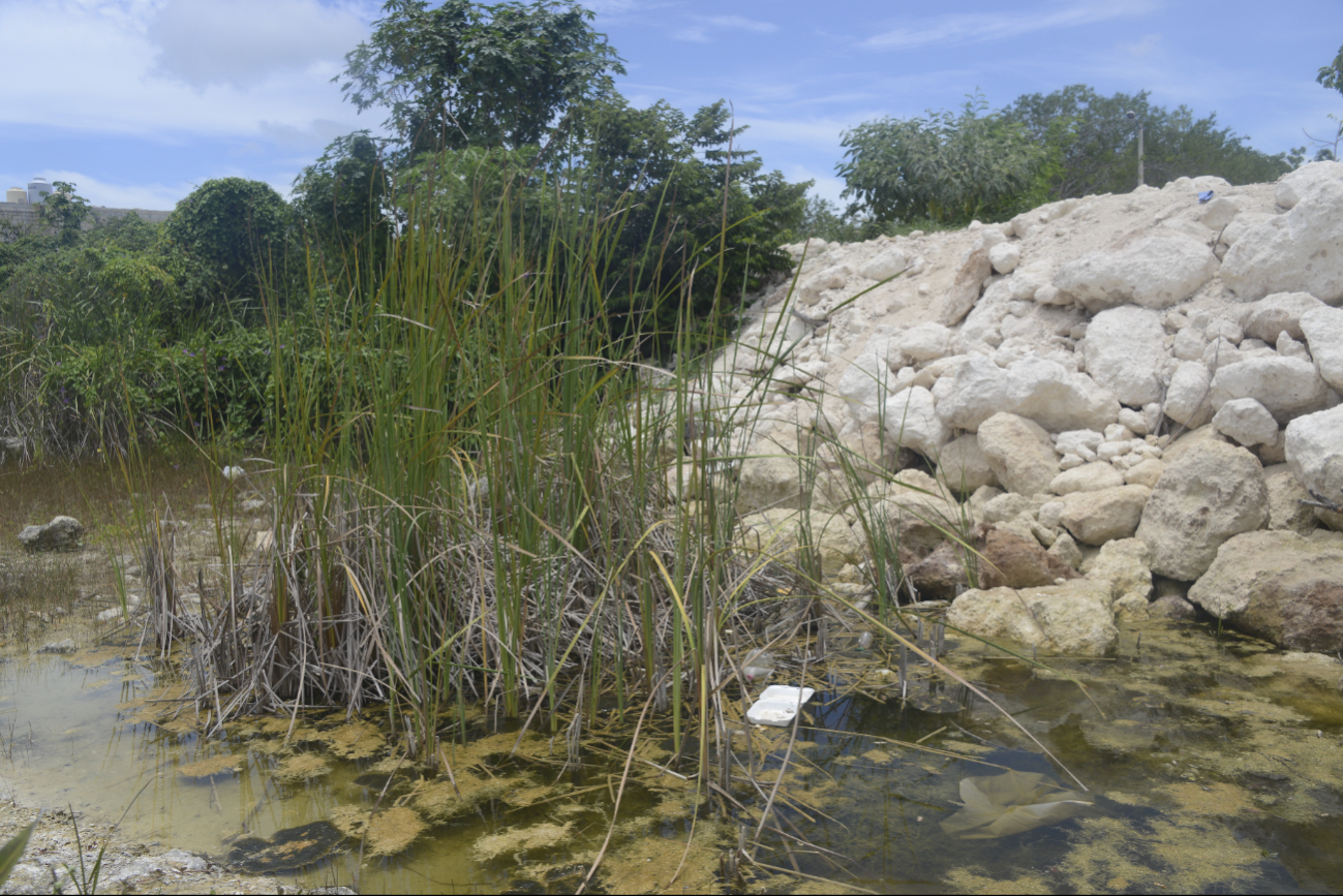 Hace tres años el agua era cristalina y la gente nadaba, relataron algunas familias asentadas en los alrededores del cuerpo de agua, en la colonia irregular San Valentín