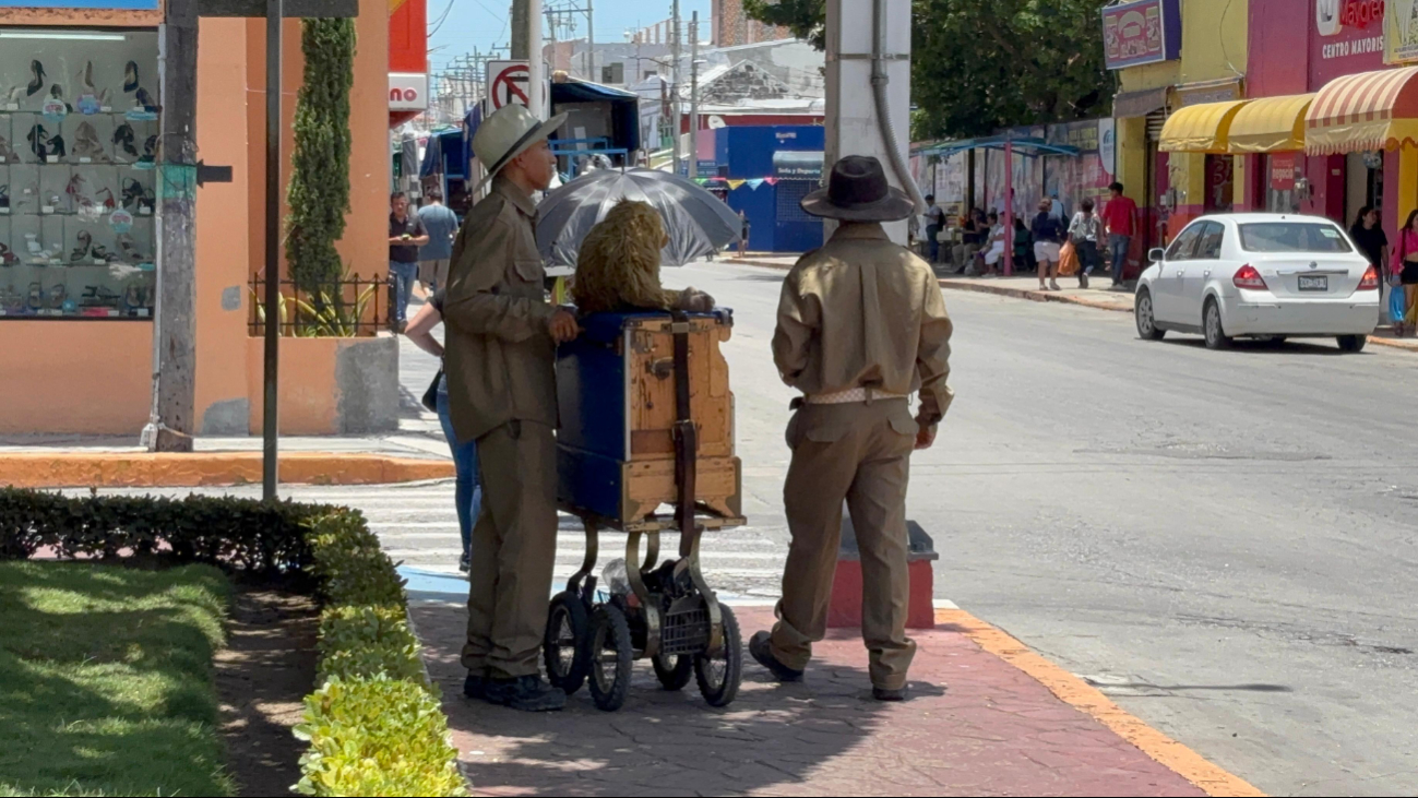 Los organilleros rentan los instrumentos, lo cuidan con responsabilidad y mantienen la tradición del "changuito" decorativo Los organilleros rentan los instrumentos, lo cuidan con responsabilidad y mantienen la tradición del "changuito" decorativo