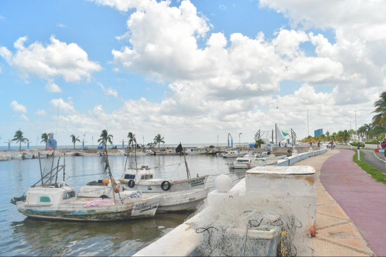 Los pescadores deben invertir hasta 10 mil pesos en preparar sus embarcaciones, sin garantía de recuperar esta inversión si la captura no es exitosa Los pescadores deben invertir hasta 10 mil pesos en preparar sus embarcaciones, sin garantía de recuperar esta inversión si la captura no es exitosa