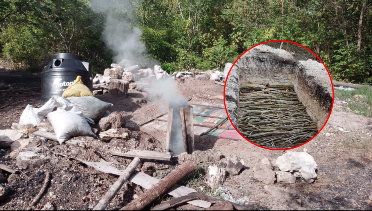 Denuncian operación ilegal de hornos de carbón vegetal en zona forestal Denuncian operación ilegal de hornos de carbón vegetal en zona forestal