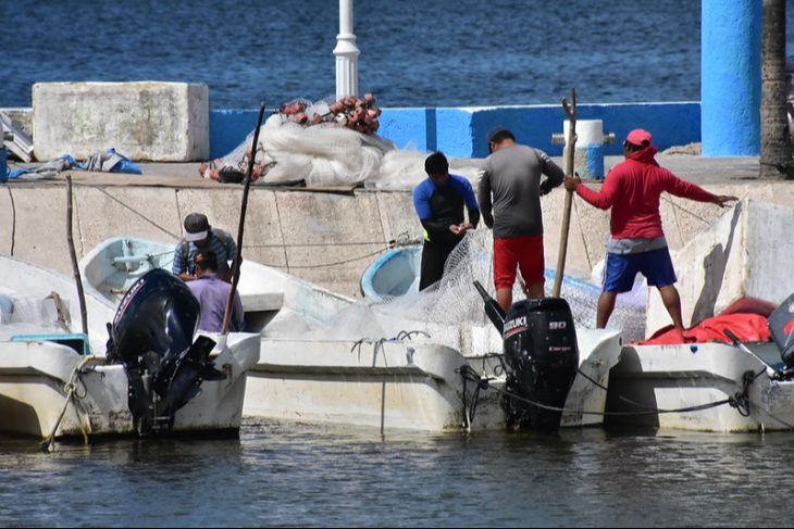 Pescadores denuncian contaminación en Laguna de Términos y caída en capturas