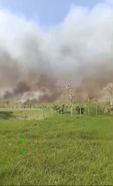 Nuevo incendio en Palizada alarma a pobladores de San Juan