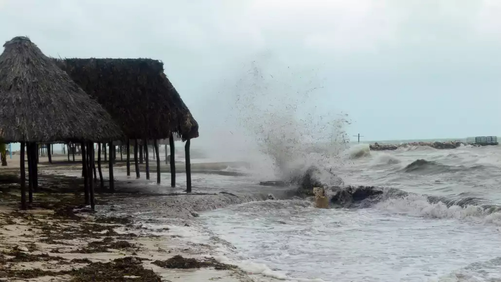 Campeche ante un posible tsunami: ¿qué pasaría si las olas llegaran a nuestras costas? Campeche ante un posible tsunami: ¿qué pasaría si las olas llegaran a nuestras costas?