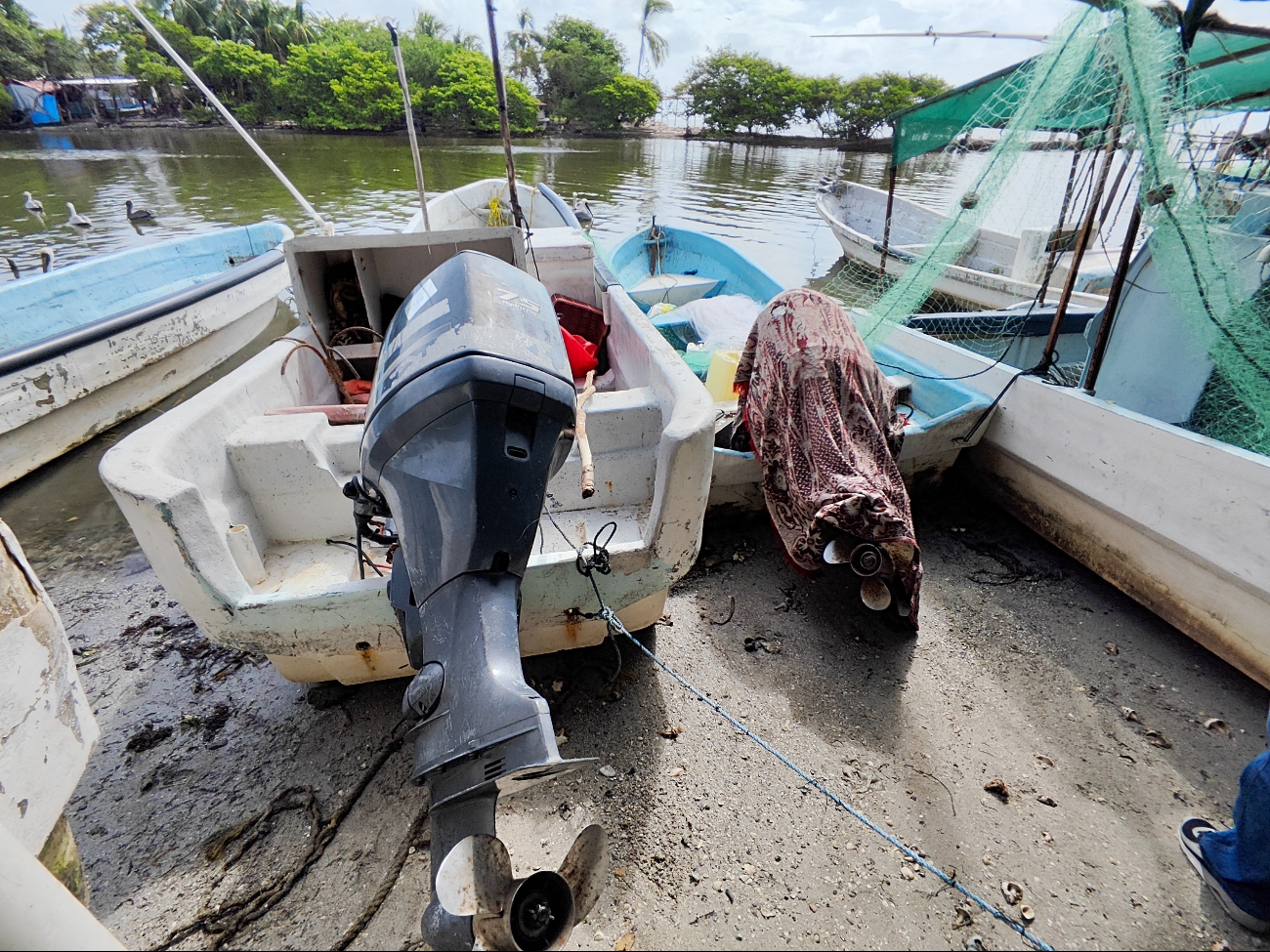 Pescadores de Carmen acusan al INPESCA de simular apoyos con entrega de motores fuera de borda.