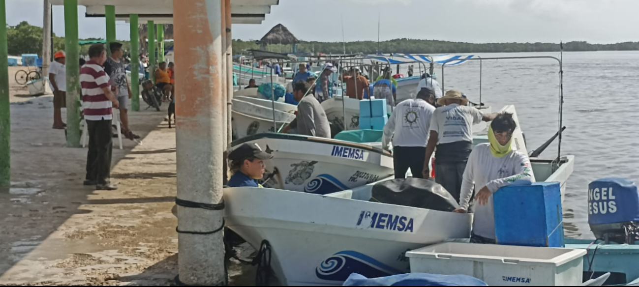 Ondas tropicales ponen “en jaque” a pescadores de Yucatán durante la temporada de mero y langosta