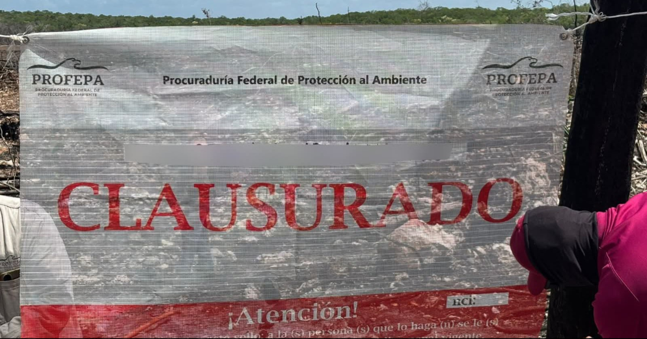 A pesar de las multas y clausuras de las zonas afectadas, la devastación continúa A pesar de las multas y clausuras de las zonas afectadas, la devastación continúa