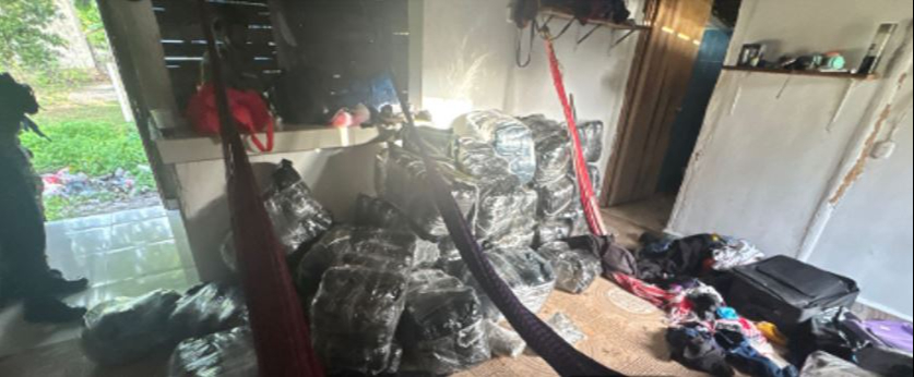 Aseguran más de 450 kg de droga en tres operativos en Quintana Roo Aseguran más de 450 kg de droga en tres operativos en Quintana Roo