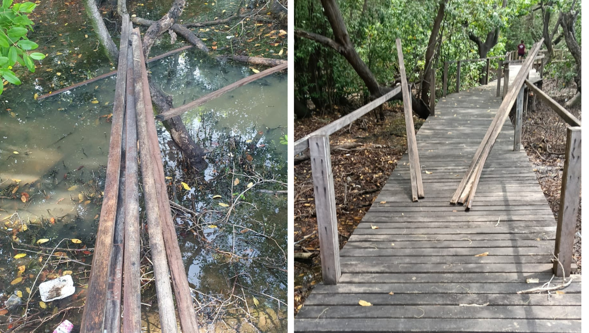 El robo fue detectado por un vecino que apoya en la vigilancia diaria; los responsables aparentemente entraron por los patios traseros. El robo fue detectado por un vecino que apoya en la vigilancia diaria; los responsables aparentemente entraron por los patios traseros.